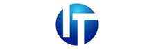 IT Consulting Group